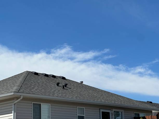 Best Green or Eco-Friendly Roofing Solutions  in Maple Valley, WA
